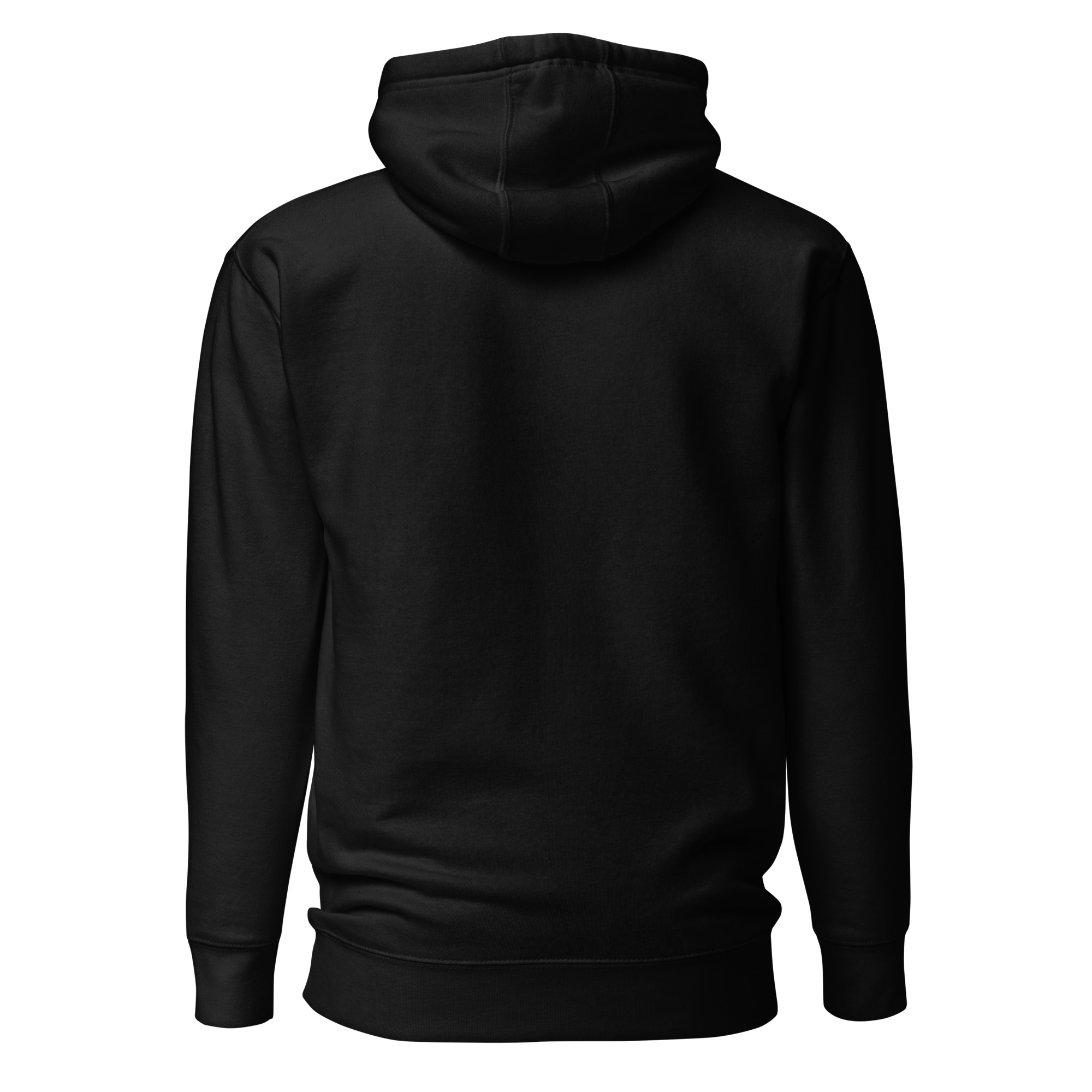 unisex-premium-hoodie-black-back-6754c34590787.jpg