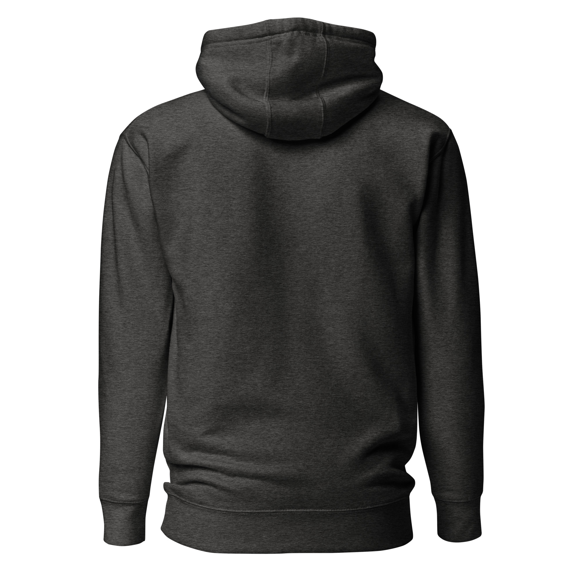 unisex-premium-hoodie-charcoal-heather-back-674f7aa6ea13f.jpg