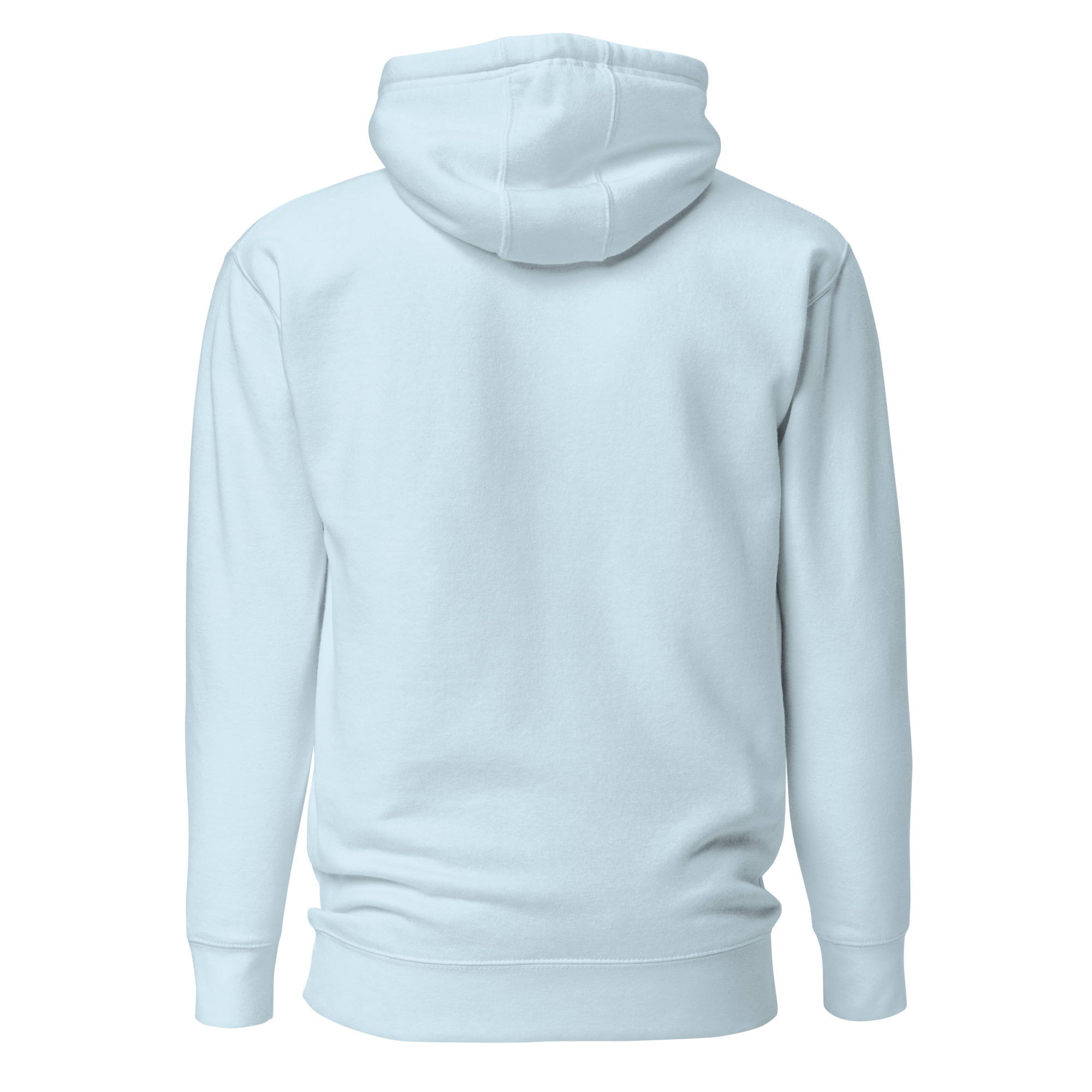 unisex-premium-hoodie-sky-blue-back-675eb279b3736.jpg