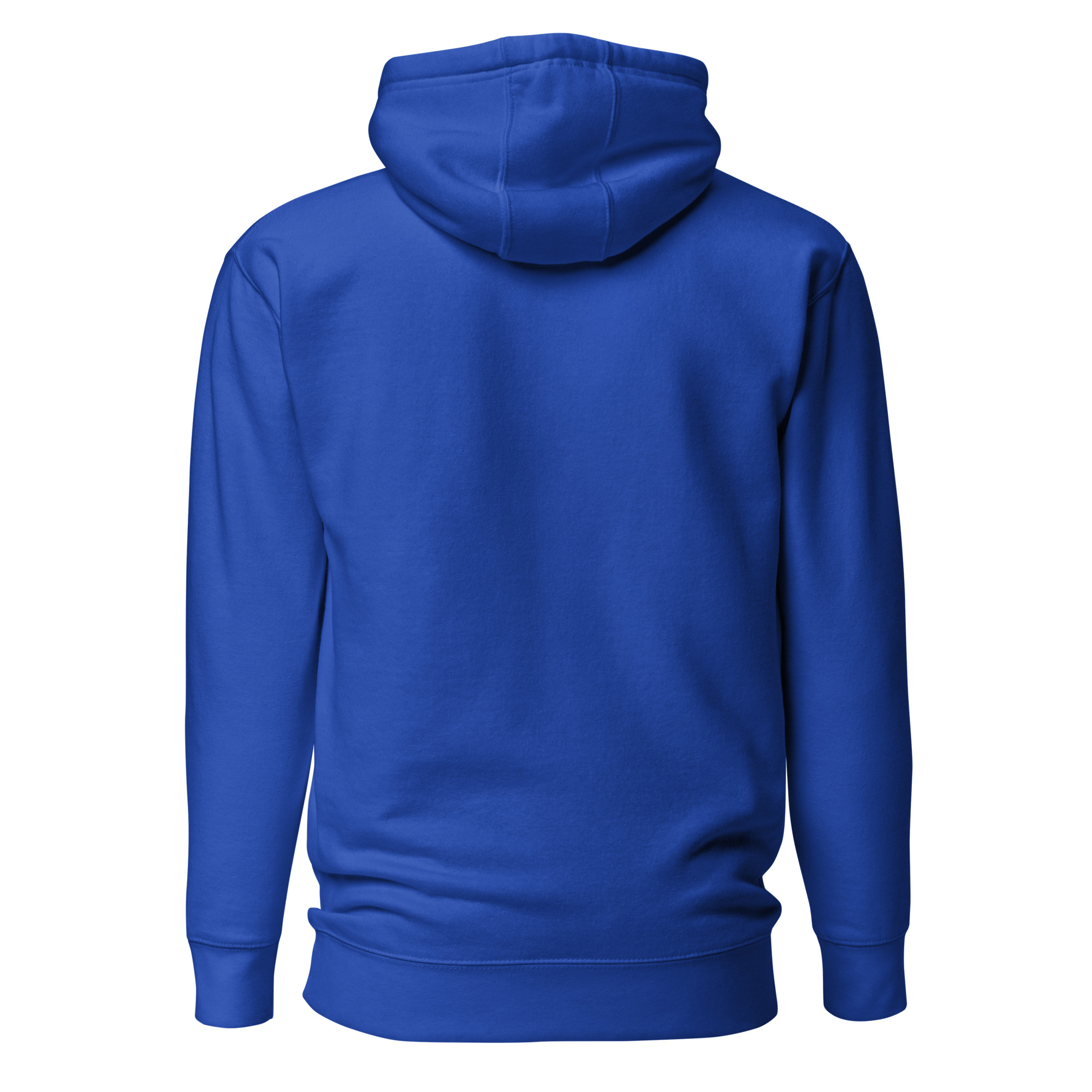 unisex-premium-hoodie-team-royal-back-6754c345ada9e.jpg